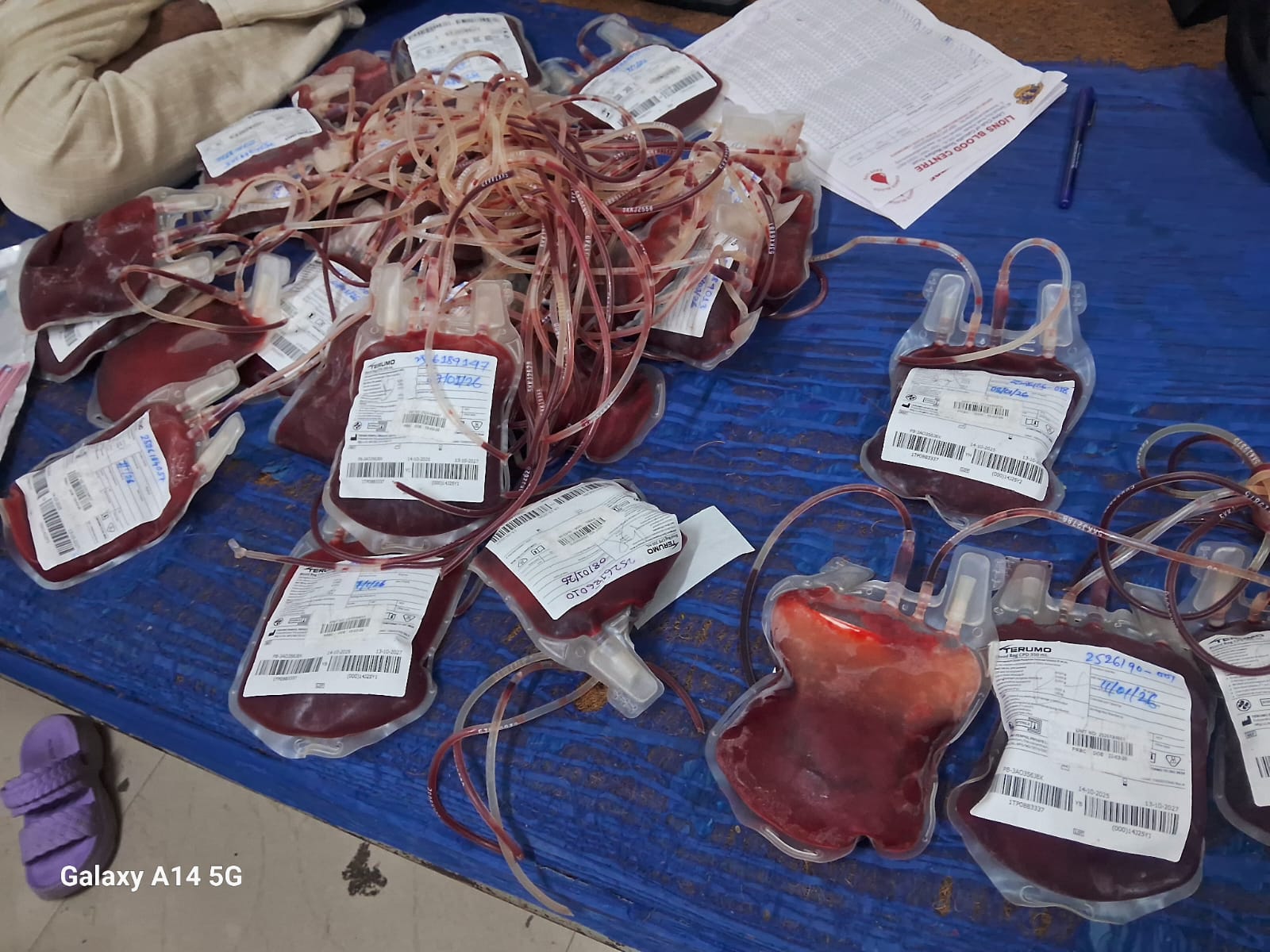 Familiar scene by mid-morning — beds full, technicians moving between them. — Barrackpore blood donation camp